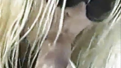 قدیمی, زیبا, خروس بزرگ, اروپایی, آلمانی, دهان, ملکه, خانه دیدار, دکتر, دانلود سکس عروس Gayfick